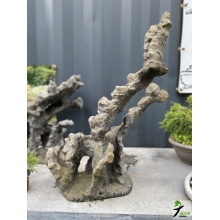 Bonsai Landscaping Rock by Ruben Bouwmeester 2 - 82cm